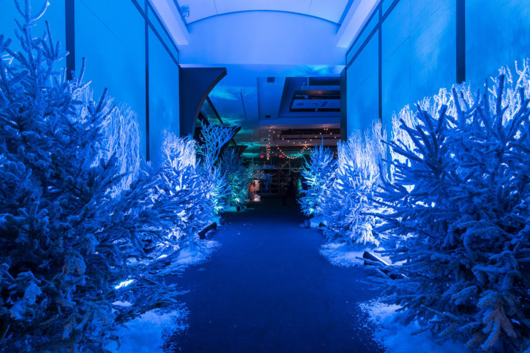 Blue-lit hallway with snowy pine trees