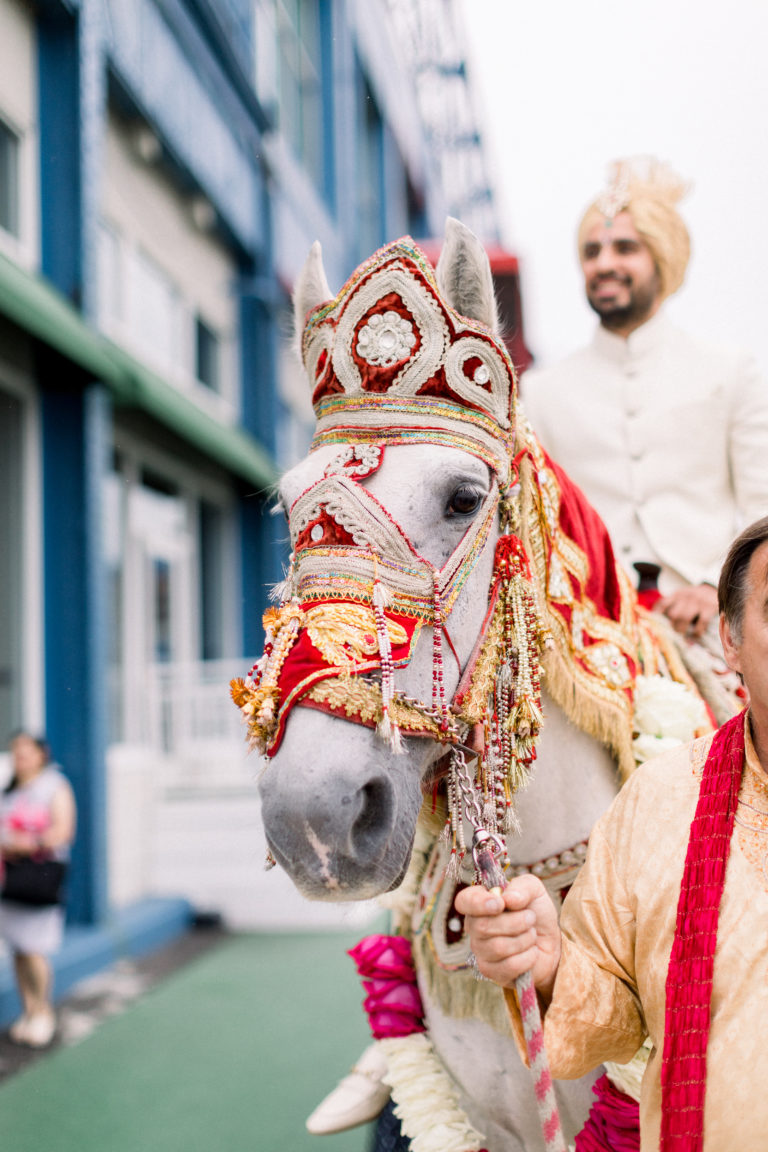 Groom in a white horse, Indian wedding